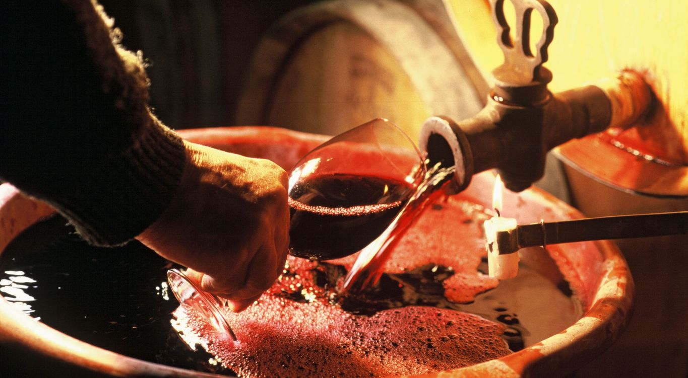 Soutirage à la bougie d'une barriques. Travail de sélection des vins en chai